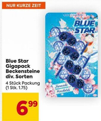 Billa Blue Star Gigapack Beckensteine div. Sorten 4 Stück Packung Angebot