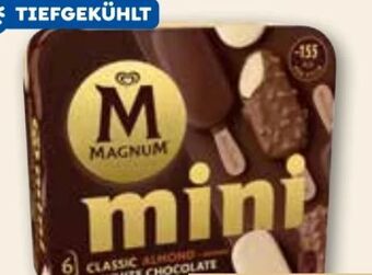 ADEG Magnum mini Angebot