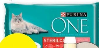 PENNY One katzennahrung Angebot