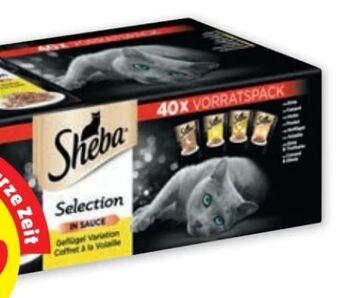 PENNY Selection Angebot
