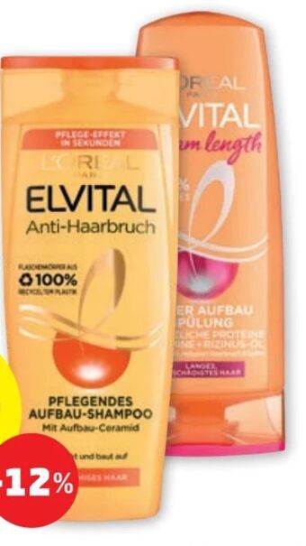 PENNY Elvital shampoo Angebot