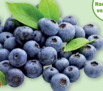 PENNY Heidelbeeren Angebot