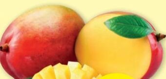 PENNY Mango Angebot