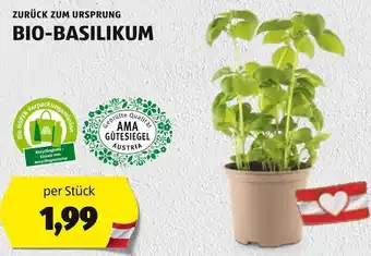 Hofer ZURÜCK ZUM URSPRUNG BIO-BASILIKUM per Stück Angebot
