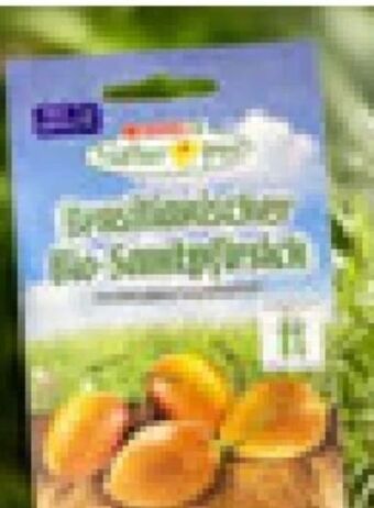 Interspar Bio-saatgut Angebot