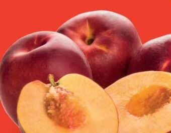 Hofer Nektarinen Angebot