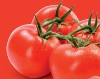 Hofer Rispentomaten Angebot