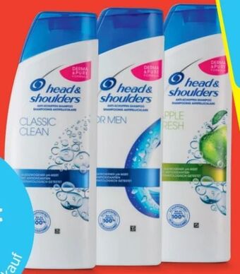 Hofer Shampoo Angebot