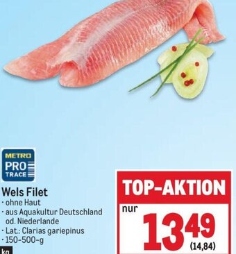 Metro Wels Filet 150-500-g Angebot