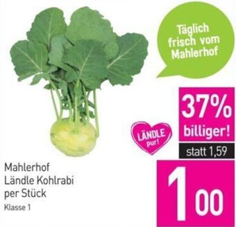Sutterlüty Mahlerhof Ländle Kohlrabi per Stück Angebot