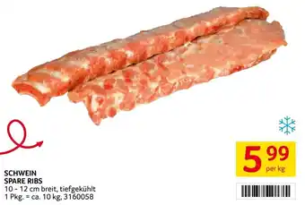 Transgourmet SCHWEIN SPARE RIBS 10-12 cm breit, tiefgekühlt 1 Pkg. = ca. 10 kg, 3160058 per kg Angebot