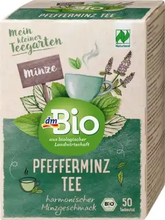 dm Pfefferminz tee Angebot