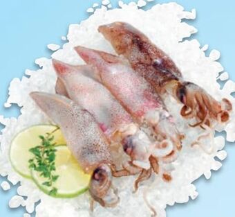 Metro Kalmar forbesi Angebot