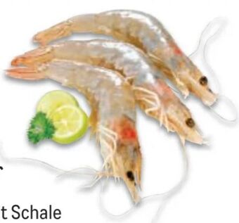 Metro White tiger shrimps garnelen Angebot