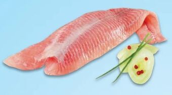 Metro Wels filet Angebot