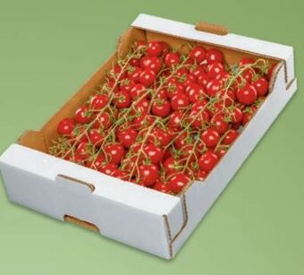 Metro Cherry rispentomaten Angebot