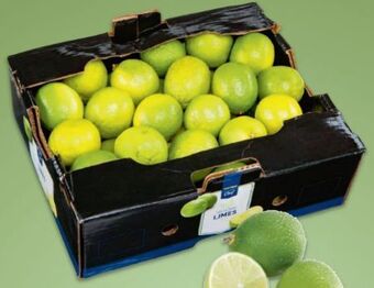 Metro Bio limetten Angebot