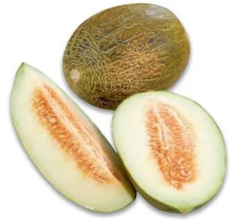 Metro Piel de sabo melone Angebot