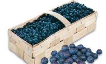 Metro Heidelbeeren Angebot