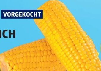 Hofer Zuckermais Angebot