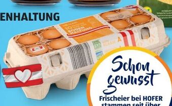Hofer Eier Angebot