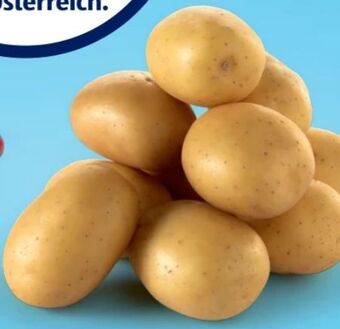Hofer Kartoffeln Angebot