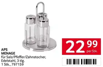 Transgourmet APS MENAGE für Salz/Pfeffer/Zahnstocher, Edelstahl, 3 tlg. per Stk. Angebot