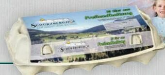 Billa Bio-Eier Angebot