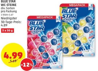 PENNY BLUE STAR WC-STEINE div. Sorten pro Packung Angebot