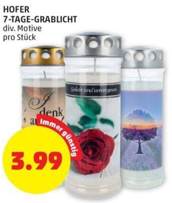 PENNY HOFER 7-TAGE-GRABLICHT div. Motive pro Stück Angebot