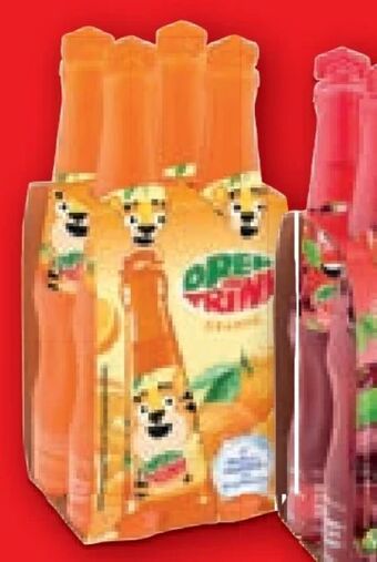 Lidl Fruchtsaftgetränk Angebot