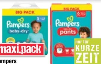 Maximarkt Baby-dry windeln Angebot