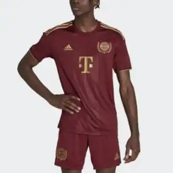 Fc bayern münchen 22/23 wiesn fußballtrikot