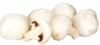 Transgourmet Champignons Angebot