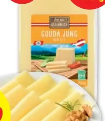 PENNY Gouda jung Angebot