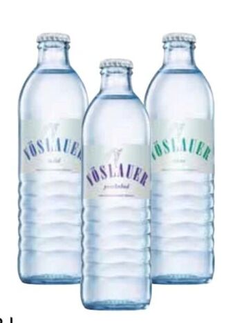 Transgourmet Mineralwasser Angebot