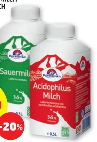PENNY Acidophilus milch Angebot