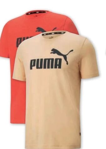 PENNY Herren t-shirt Angebot