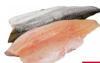 Transgourmet Forellenfilet Angebot