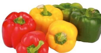 Transgourmet Paprika mix Angebot
