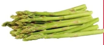 Transgourmet Baby spargel grün Angebot