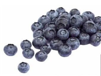 Transgourmet Heidelbeeren Angebot