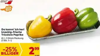 Billa Da komm' ich her! knackig-frische Tricolore Paprika KI. I, 3 Stück Packung Angebot
