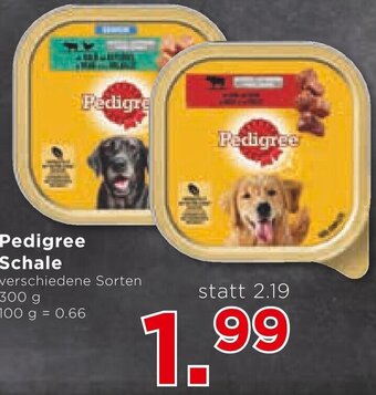 Unimarkt Pedigree Schale verschiedene Sorten 300 g Angebot
