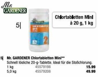 Hagebau Mr. GARDENER Chlortabletten Mini** 1 kg Angebot
