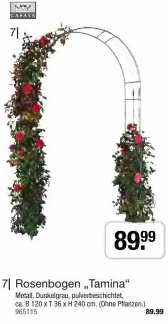 Hagebau Rosenbogen ",Tamina" ca. B 120 x T 36 x H 240 cm. (Ohne Pflanzen.) 965115 Angebot