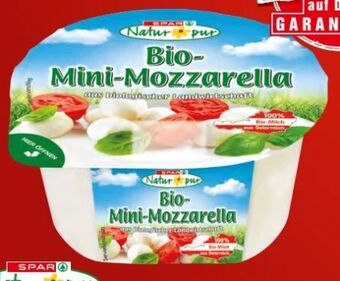 Spar Bio-mini-mozzarella Angebot
