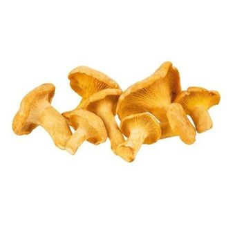 Billa Eierschwammerl Angebot
