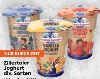 Billa Joghurt Angebot