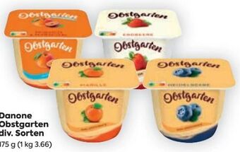 Billa Obstgarten Angebot